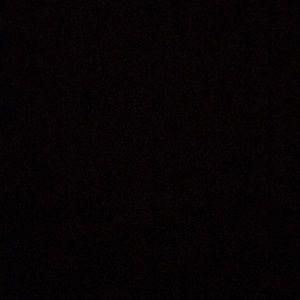 Meet your Posher, Viv